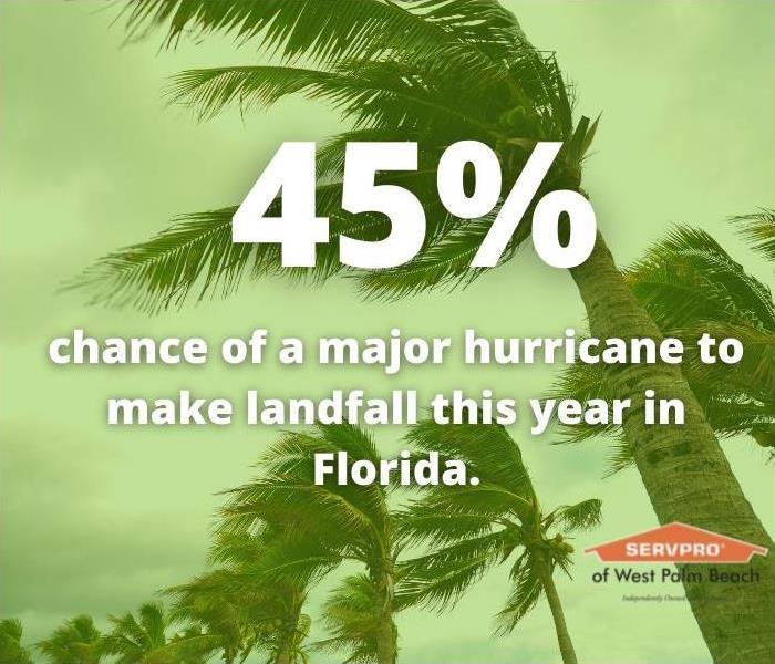 Hurricane fact over picture of trees