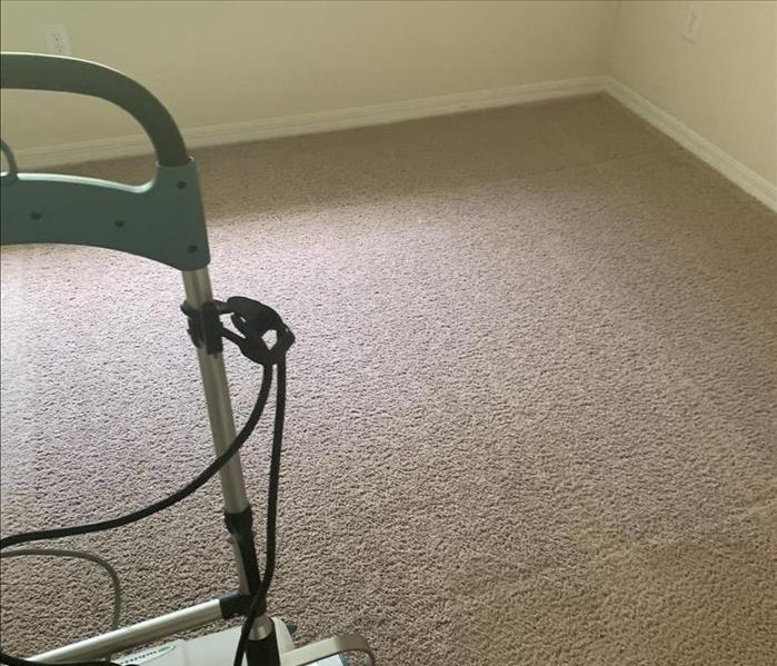 carpet after mildew cleaning 