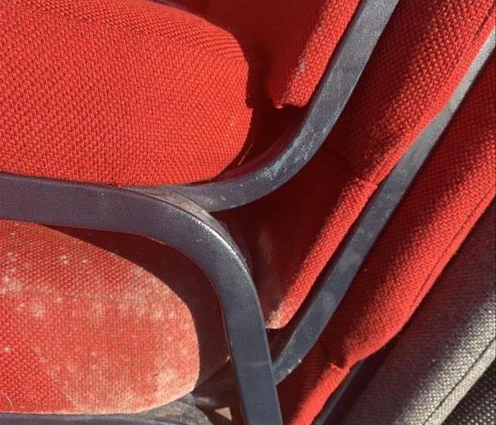white mold found on red chairs